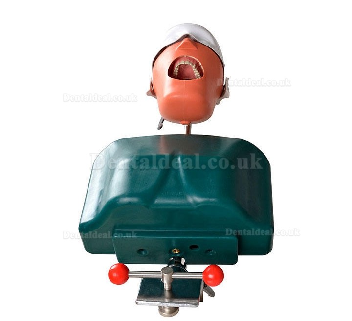 Jingle JG-C1 Dental Surgery Practice Model Head Clamp Type Simulation Phantom Head